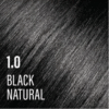 1.0