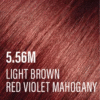 5.56M