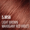 5.M56